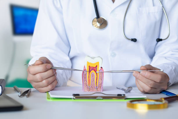 Best Emergency Denture Repair in Mathews, LA